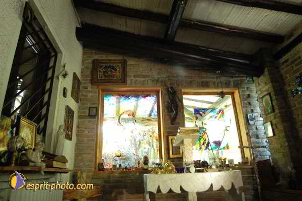 Nom de l'image : D1181244-1 — Description :  Ecole de danse Classique( Ballet) de Liliana COSI et Marinel STE