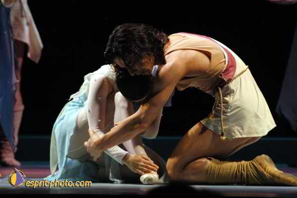 Nom de l'image : D1131633-01 — Description :