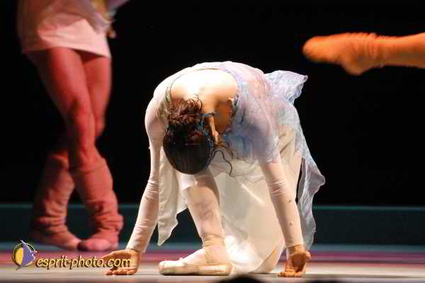 Nom de l'image : D1131663-01 — Description :