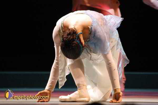 Nom de l'image : D1131665-01 — Description :