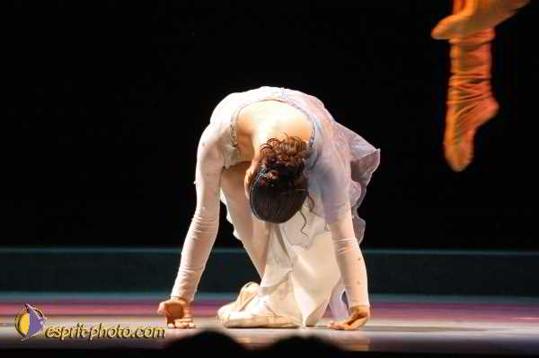 Nom de l'image : D1131680-01 — Description :