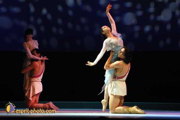 Nom de l'image : D1131736-01 — Description :