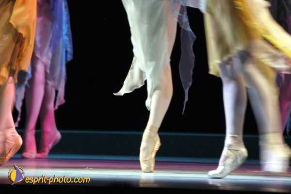 Nom de l'image : D1131766-01 — Description :