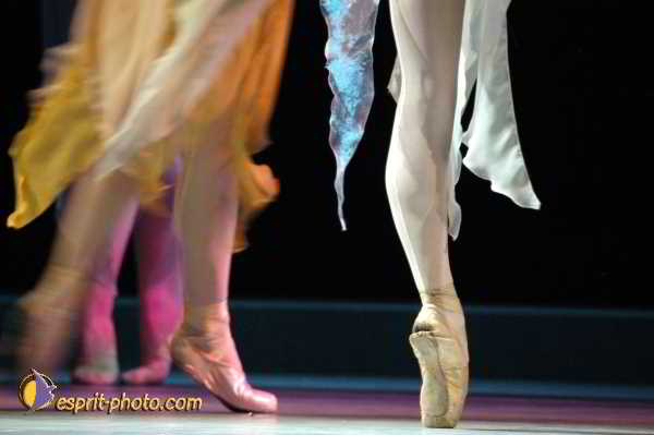 Nom de l'image : D1131768-01 — Description :