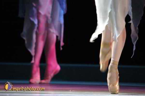 Nom de l'image : D1131769-01 — Description :