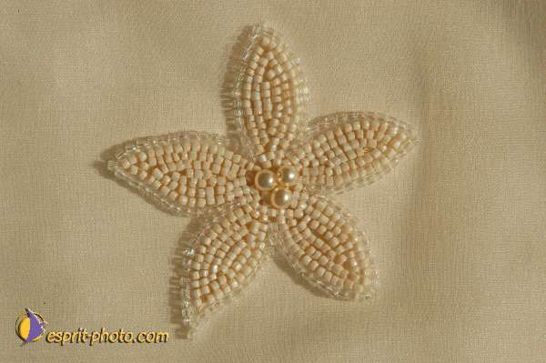 Nom de l'image : E00028357 — Description :