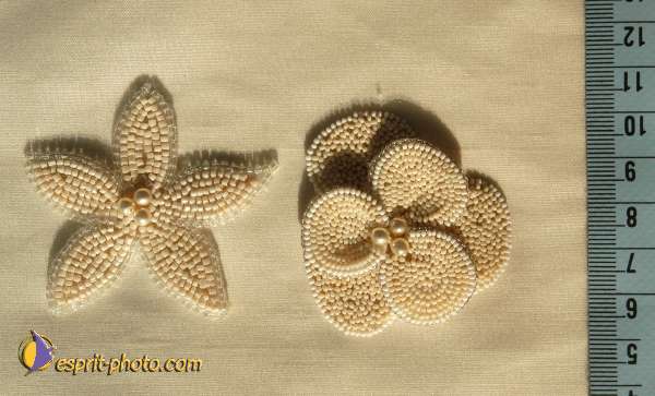 Nom de l'image : E00028375 — Description :