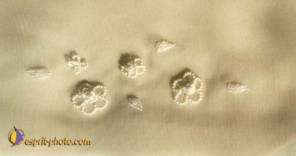 Nom de l'image : E00028377 — Description :