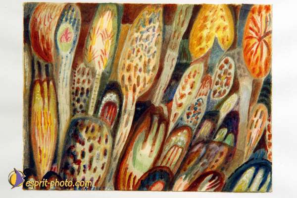 Nom de l'image : D1102568-01 — Description :