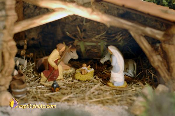 Nom de l'image : D2252274_1 — Description :