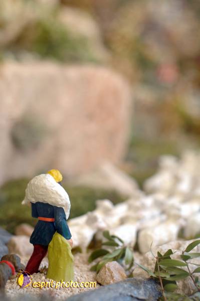 Nom de l'image : D2252313_1 — Description :