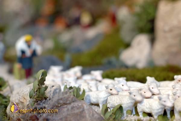 Nom de l'image : D2252317_1 — Description :