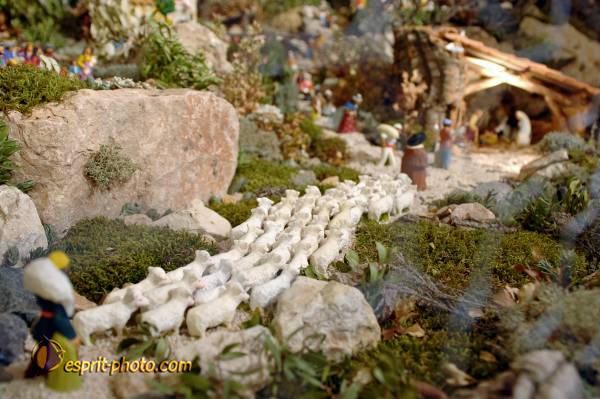 Nom de l'image : D2252342_1 — Description :