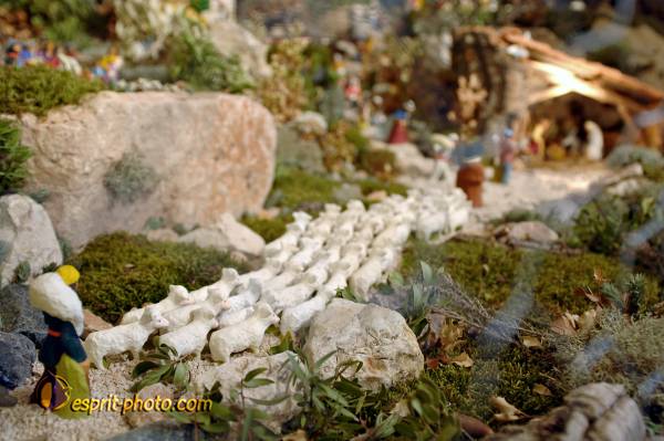 Nom de l'image : D2252345_1 — Description :