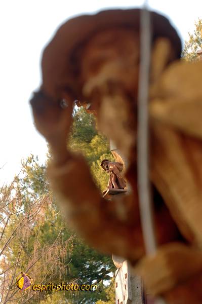 Nom de l'image : D2252362_1 — Description :