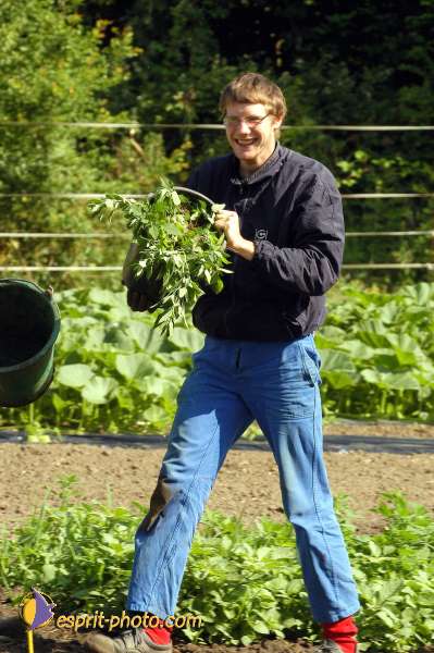 Nom de l'image : D1150911-01 — Description :