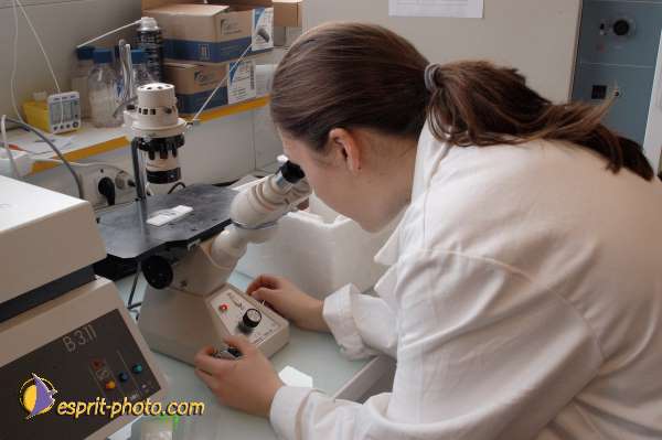 Nom de l'image : EG-4-5266-N01 — Description :