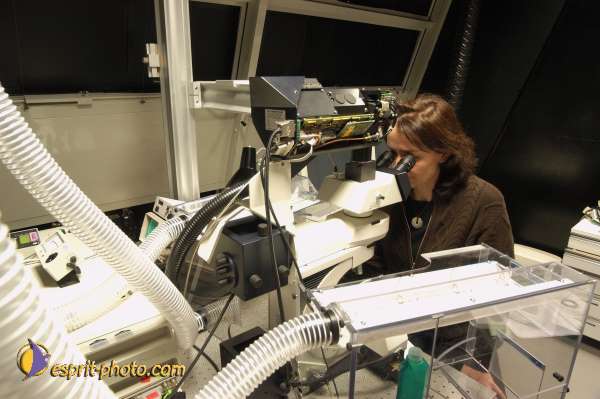 Nom de l'image : EG-4-5269-N01 — Description :