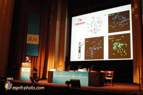 Nom de l'image : E00016776-1 — Description :  Toussaint 2004 - Messe avec les sans abri