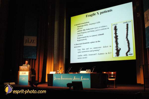 Nom de l'image : E00016901-1 — Description :  Toussaint 2004 - Messe avec les sans abri