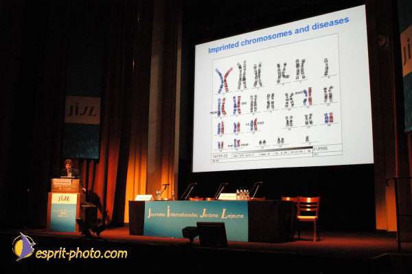 Nom de l'image : E00016949-1 — Description :  Toussaint 2004 - Messe avec les sans abri