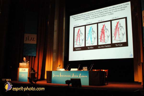 Nom de l'image : E00017251-1 — Description :  Toussaint 2004 - Messe avec les sans abri