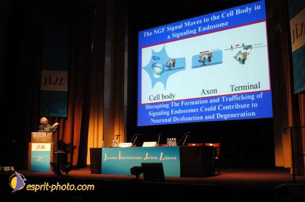 Nom de l'image : E00017332-1 — Description :  Toussaint 2004 - Messe avec les sans abri