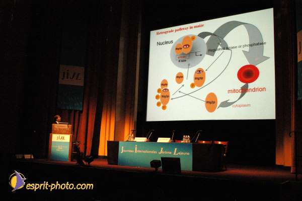 Nom de l'image : E00017444-1 — Description :  Toussaint 2004 - Messe avec les sans abri