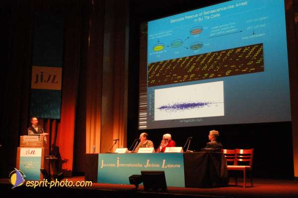 Nom de l'image : E00017808-1 — Description :  Toussaint 2004 - Messe avec les sans abri