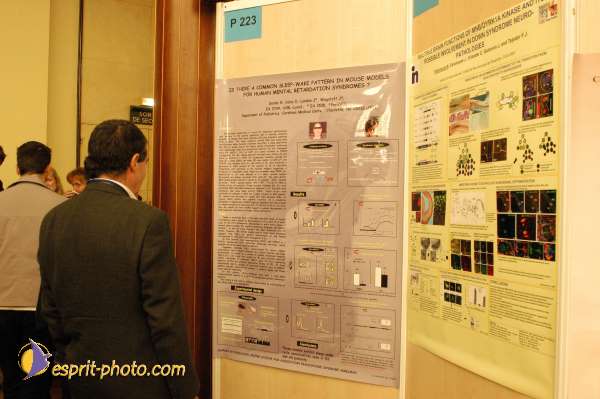 Nom de l'image : E00017005-1 — Description :  Toussaint 2004 - Messe avec les sans abri