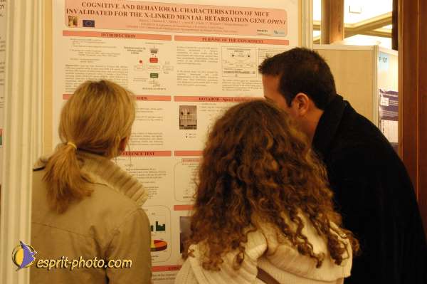 Nom de l'image : E00017042-1 — Description :  Toussaint 2004 - Messe avec les sans abri