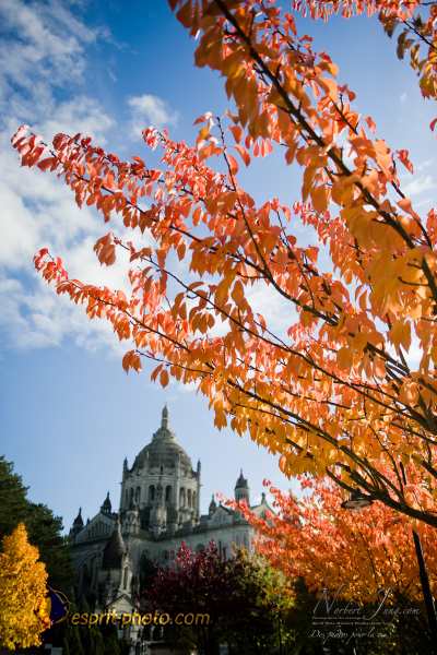 Nom de l'image : D3s017378a_(c)Norbert-Jung.com — Description :