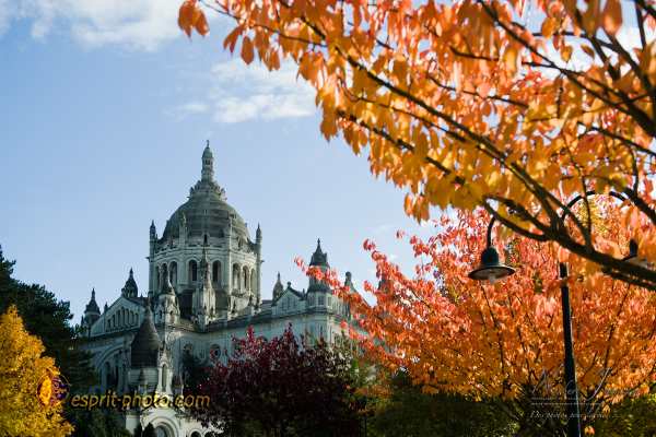 Nom de l'image : D3s017379a_(c)Norbert-Jung.com — Description :