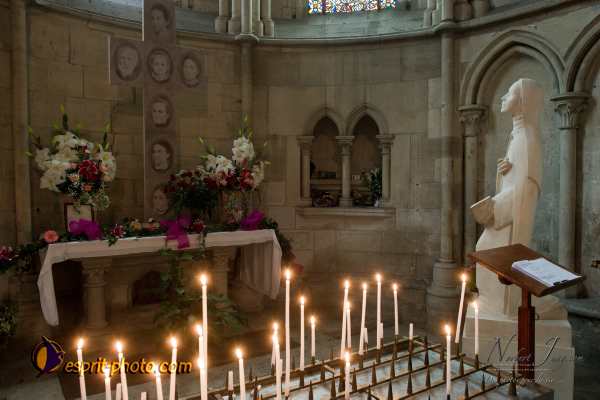 Nom de l'image : D3s017422a_(c)Norbert-Jung.com — Description :