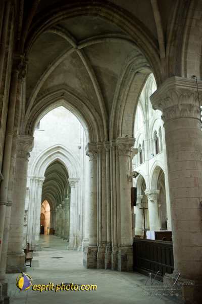 Nom de l'image : D3s017423a_(c)Norbert-Jung.com — Description :