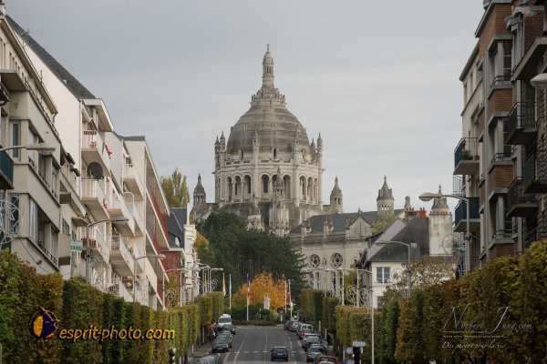 Nom de l'image : D3s017427a_(c)Norbert-Jung.com — Description :