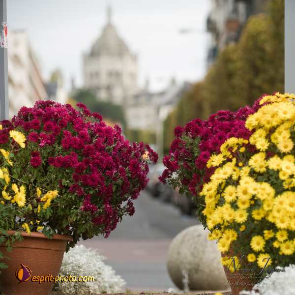 Nom de l'image : D3s017430a_(c)Norbert-Jung.com — Description :