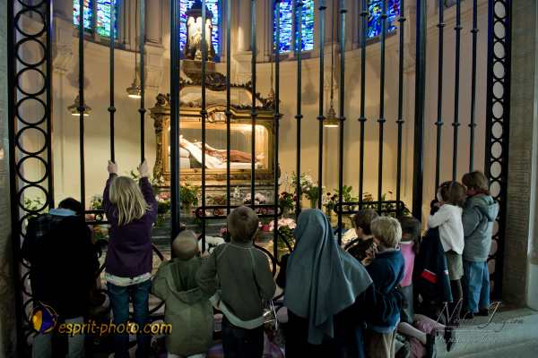 Nom de l'image : D3s017440a_(c)Norbert-Jung.com — Description :