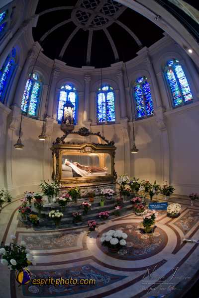 Nom de l'image : D3s017481a_(c)Norbert-Jung.com — Description :