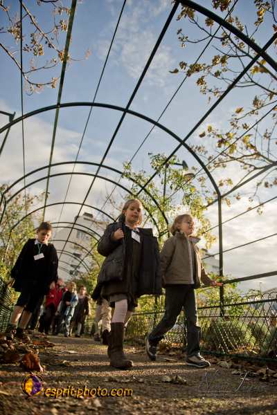 Nom de l'image : D3s017579a_(c)Norbert-Jung.com — Description :