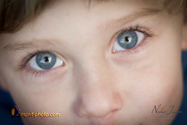 Nom de l'image : D3s017748a_(c)Norbert-Jung.com-2 — Description :