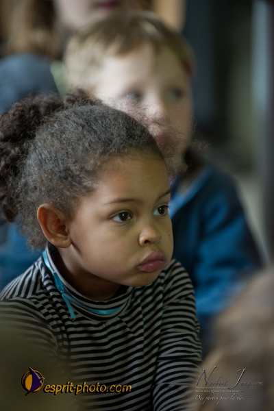 Nom de l'image : D3s017932a_(c)Norbert-Jung.com — Description :