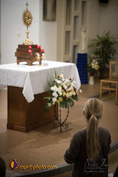 Nom de l'image : D3s018045a_(c)Norbert-Jung.com — Description :