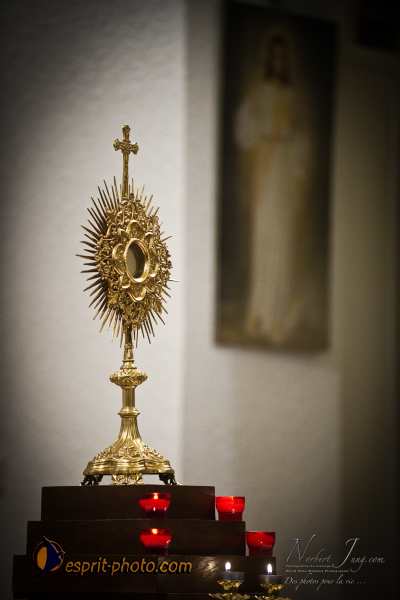 Nom de l'image : D3s018060a_(c)Norbert-Jung.com — Description :