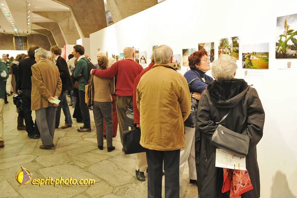 Nom de l'image : D30035611_1 — Description :