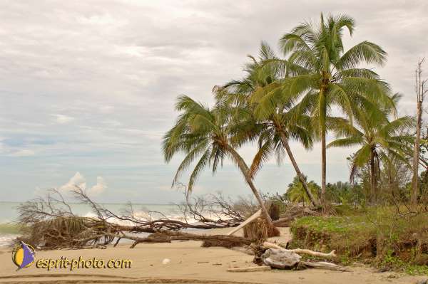 Nom de l'image : D2088413_1 — Description :  Enfants du Mékong