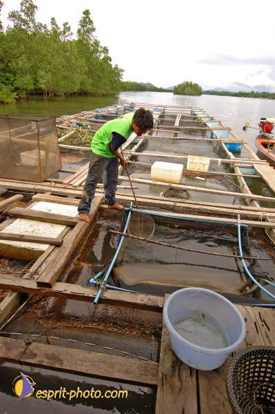 Nom de l'image : D2088659_1 — Description :