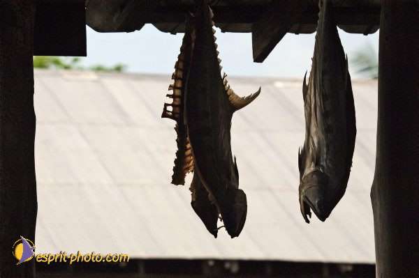 Nom de l'image : D2090728_1 — Description :  Enfants du Mékong