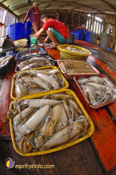 Nom de l'image : D2090811_1 — Description :  Enfants du Mékong