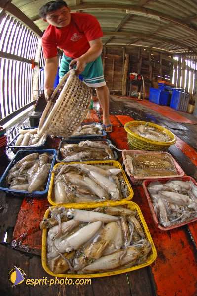 Nom de l'image : D2090825_1 — Description :  Enfants du Mékong